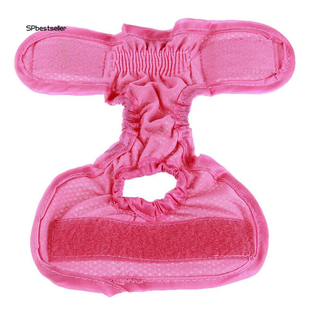 Quần tã có thể tái sử dụng chuyên dùng cho thú cưng