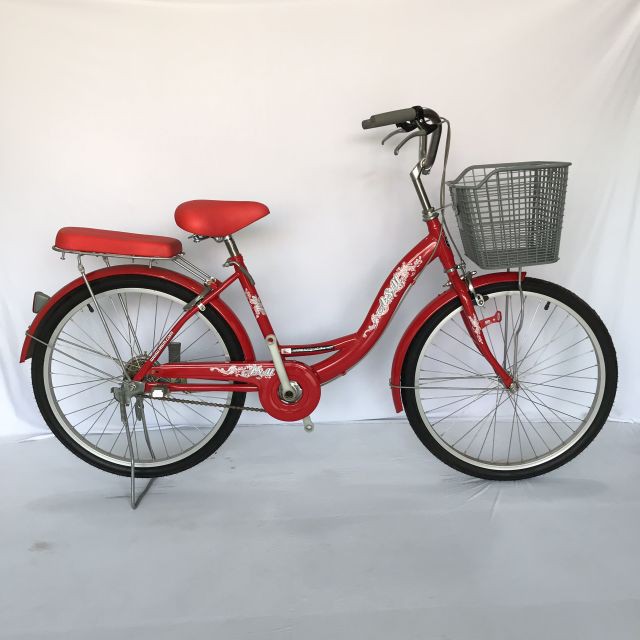 Xe đạp mini 24inch