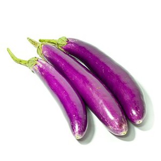 Hạt Giống Cà Tím