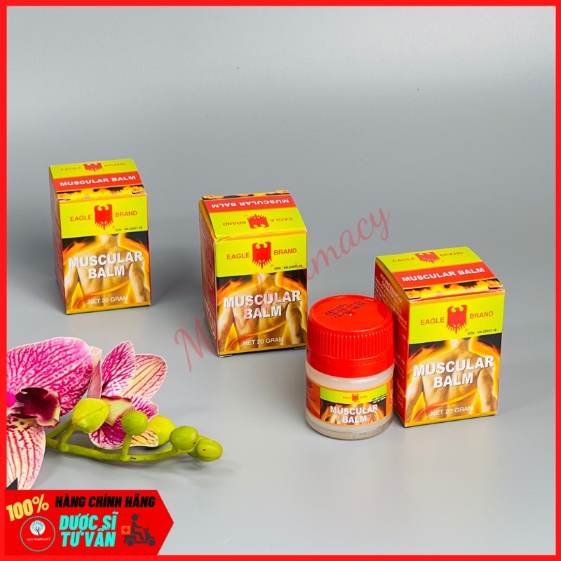 Dầu cù là Con Ó (cao xoa) EAGLE MUSCULAR BALM 20g - Minpharmacy