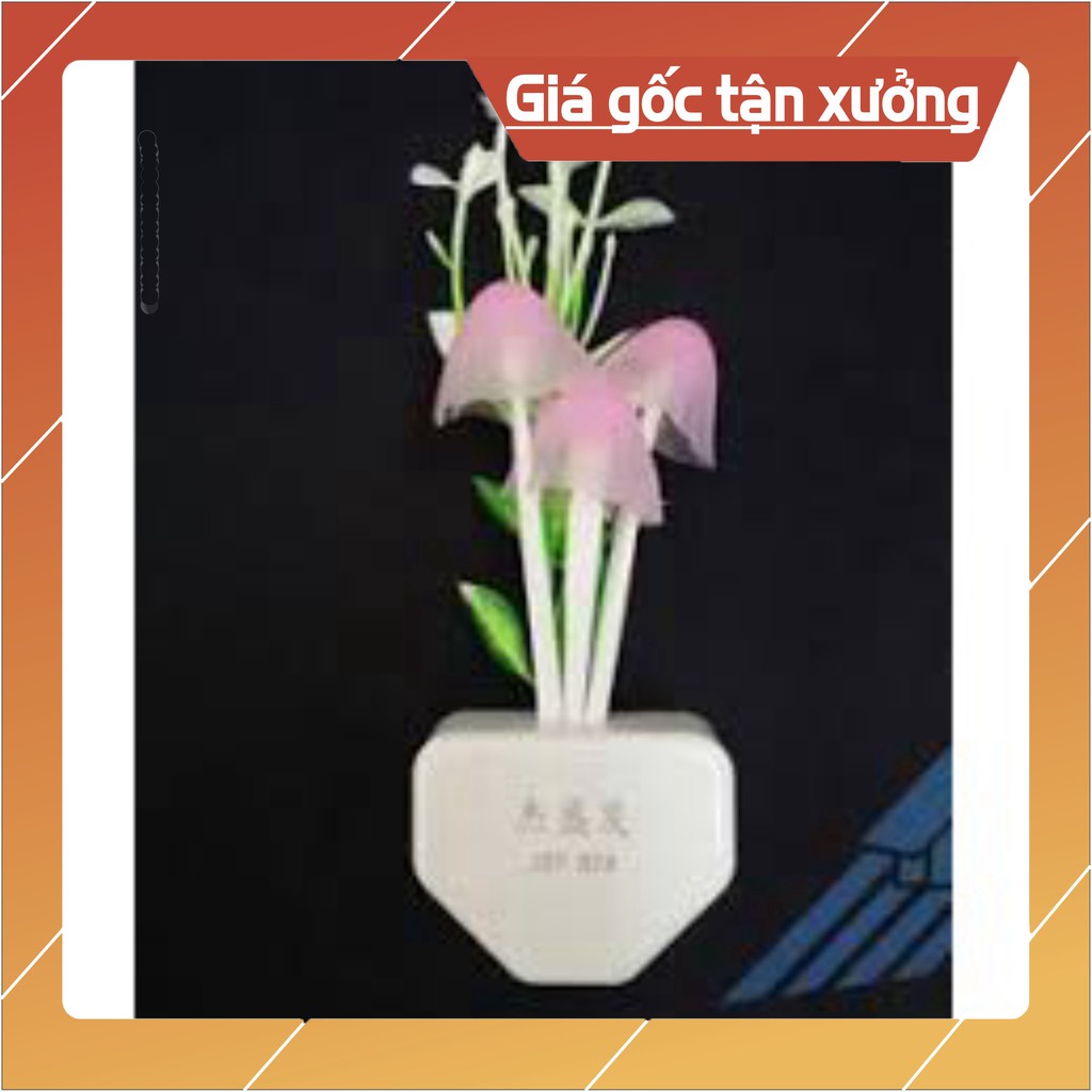 Sẵn hàng Đèn ngủ cảm ứng hình nấm .