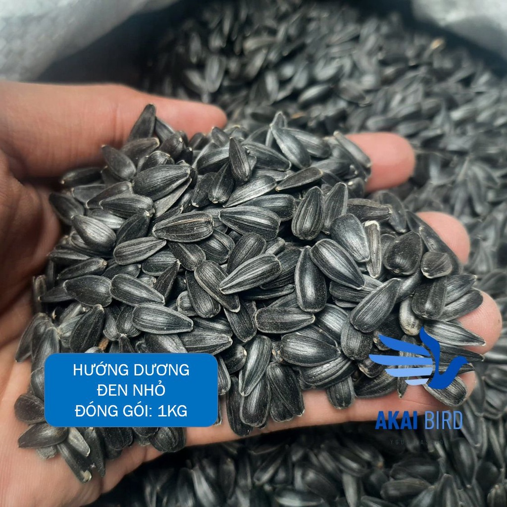 [1KG] Hướng Dương Đen Nhỏ Cho Vẹt, Chim Cảnh, Hamster, Sóc....