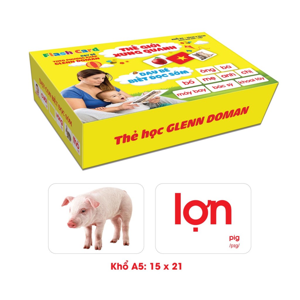 Bộ thẻ Glenn Doman dạy bé vê thế giới xung quanh - Thẻ học thông minh loại to  song ngữ Flashcard tiếng Anh