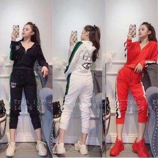 💫 FREESHIP 💫 Bộ đồ mặc nhà dài tay thu đông kiểu dáng thể thao chất liệu chéo thái cực xinh mặc nhà đi chơi đều đẹp