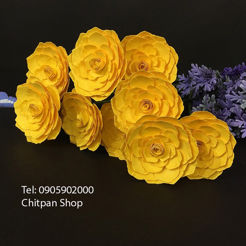 Nhánh hoa mẫu đơn giấy