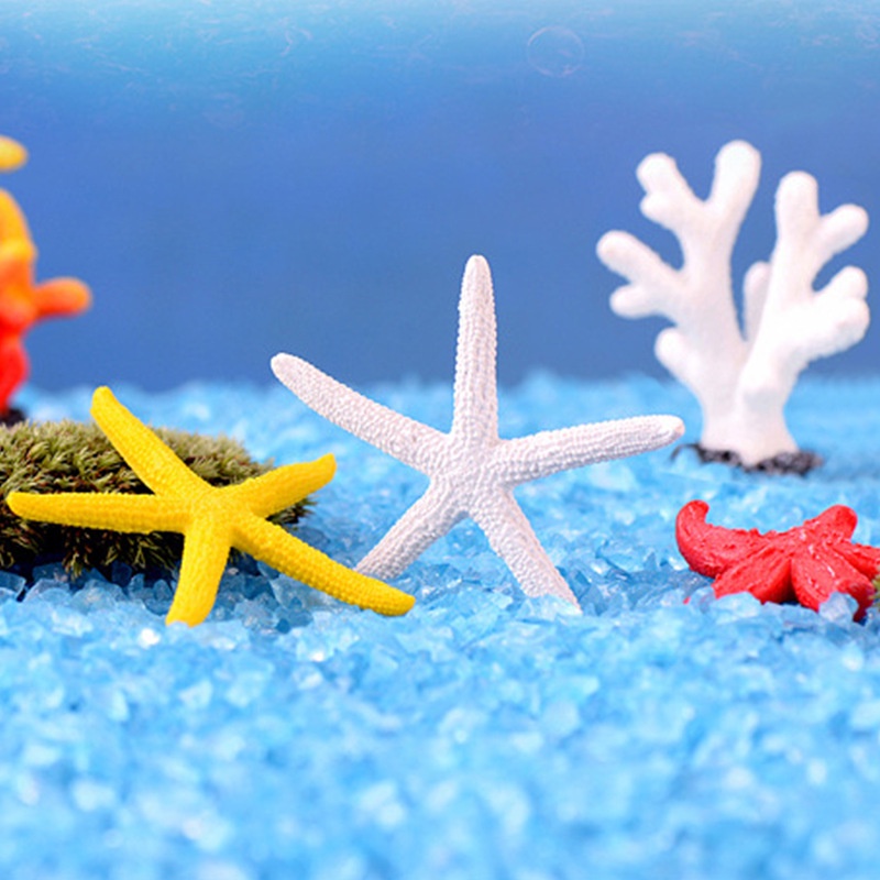 Vỏ Sò / Sao Biển Nhân Tạo Trang Trí Bể Cá