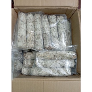 Xô thơm trắng (white sage)⚜️FREESHIP⚜️Loại chuẩn Nam California,mỗi bó nặng 120g dài 22cm
