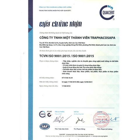 CAO MỀM ACTISO SAPA –Hỗ trợ bảo vệ và giải độc gan, hạ cholesterol, ngăn ngừa xơ vữa động mạch