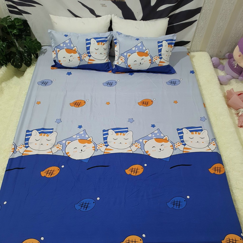 SET 4 MÓN CHĂN HÈ TRẦN BÔNG KÈM GA GỐI COTTON POLY MẪU MÈO CÁ XANH( ĐỦ KÍCH THƯỚC)