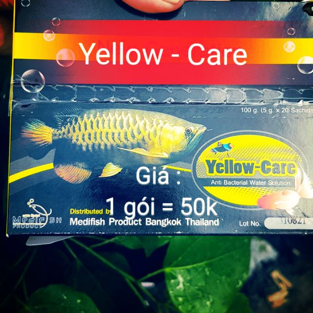 Combo 2 goi thuốc yellow care trị bệnh cá cảnh