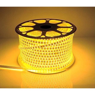 [Hàng Hót] Đèn Led Cuộn 3014 Dài 100m - Trang Trí Lễ Tết - Sân Vườn - Chống Nước Siêu Tốt - Led Loại 1 [Free Ship]