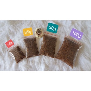 Sâu Gạo Sấy Khô