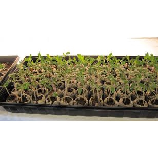 Bộ 20 viên nén ươm hạt xơ dừa hữu cơ trồng rau, dâu tây, thủy canh