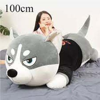 Gấu bông chó husky mặc áo hot hit