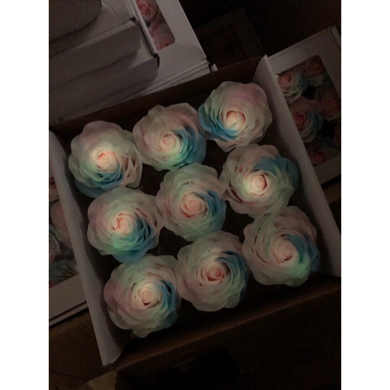 Hoa sáp cầu vồng phát sáng