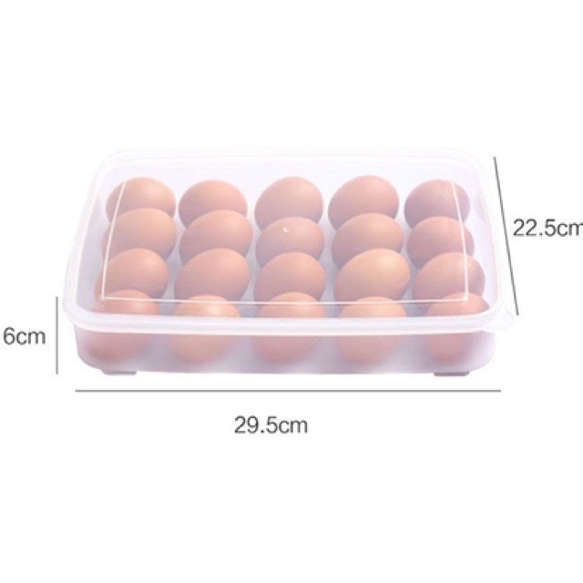 Hôp đựng trứng12 quả, 24 quả, 32 quả có nắp đậy nhựa Việt Nhật, Hộp bảo quản trứng để tủ lạnh chất liệu bền đẹp