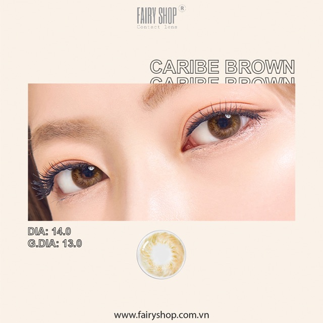 Kính Áp Tròng Pinky Bae BROWN 14.0mm - Kính Áp Tròng FAIRY SHOP CONTACT LENS - độ cận 0 đến 8