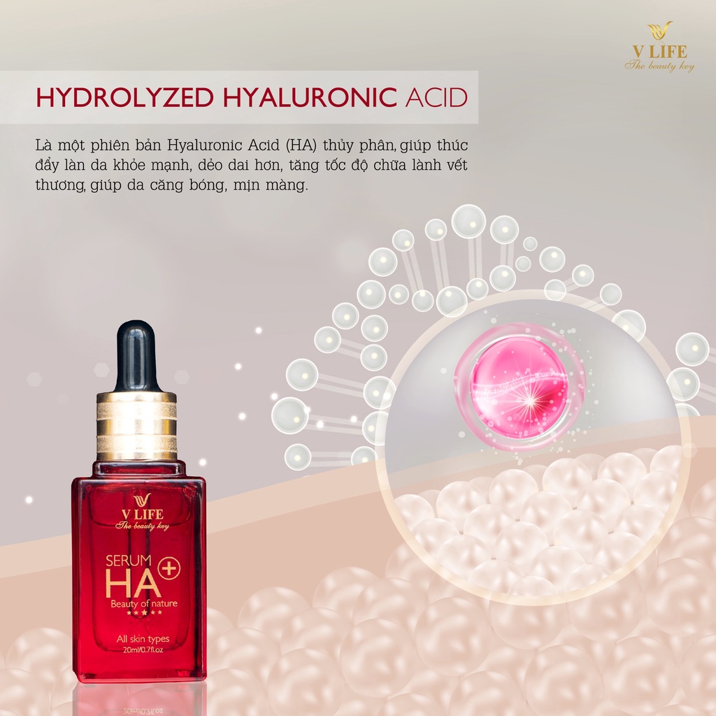 Serum HA+ DNA cá hồi hàng chính hãng vlife