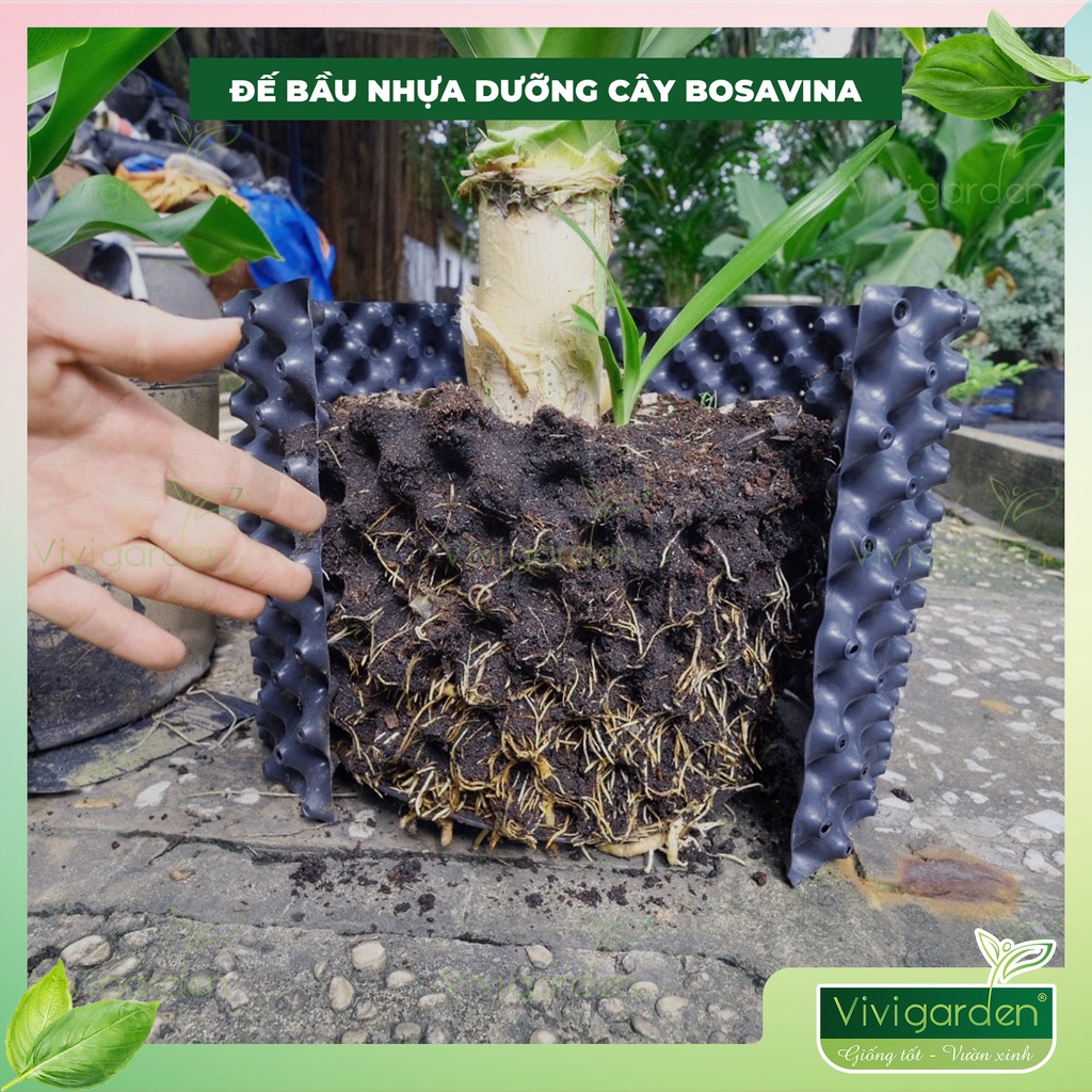 Đế Bầu Nhựa Dưỡng Cây BoSaVina size nhỏ 20, 30 kết hợp với Bầu Nhựa BoSaVina để tạo nên chậu trồng cây lý tưởng