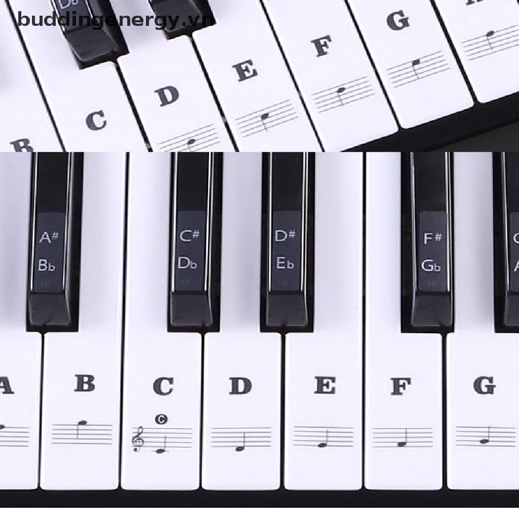 Miếng Dán Phím Đàn Piano Điện Tử 54 / 61 Phím Trong Suốt