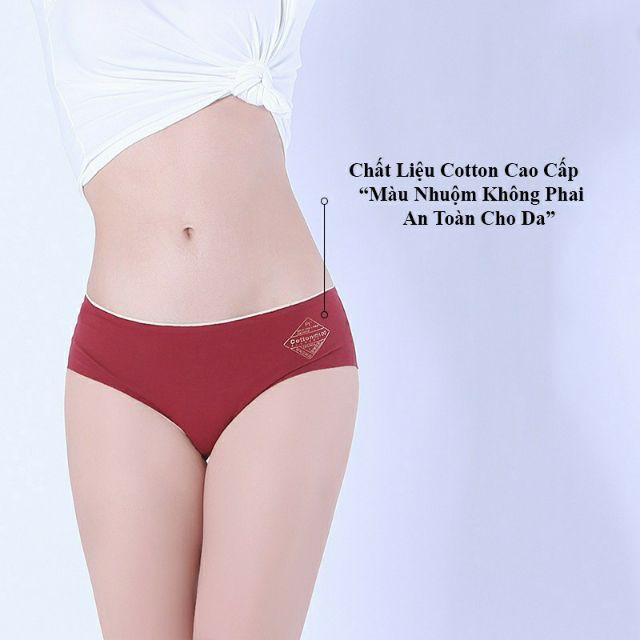 Quần lót cotton ép không đường may kháng khuẩn, tôn dáng (Luôn che tên sản phẩm)