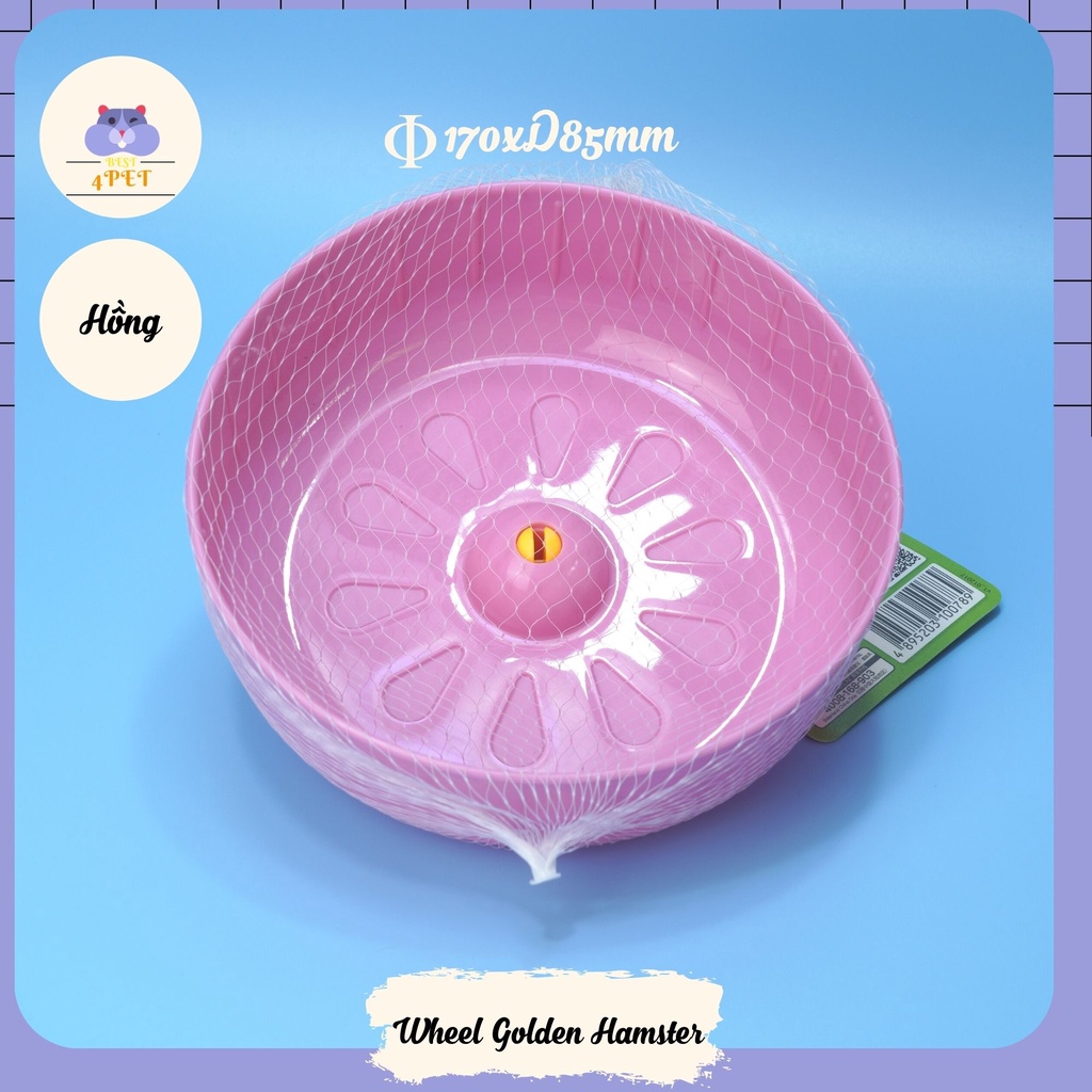 Wheel chạy Golden Hamster