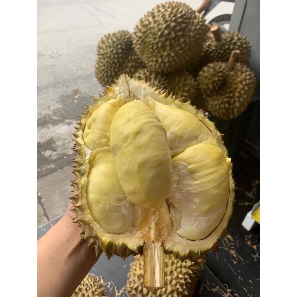 1kg Cơm Sầu Riêng Thái Monthong Miền Tây