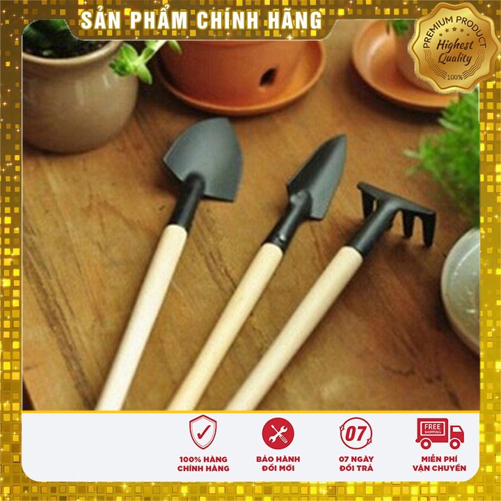 COMBO 04 gói Hạt giống vườn xinh ( TẶNG kèm 2 gói kích mầm và 1 bộ dụng cụ làm vườn mini)