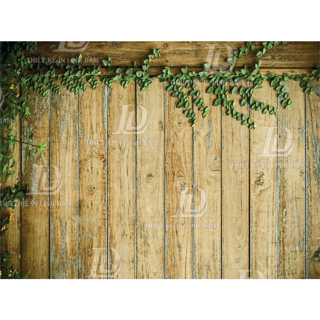 Phông nền 3D chụp ảnh đồ ăn/ BACKGROUND CHỤP ẢNH / PHÔNG NỀN CHỤP ẢNH / PHỤ KIỆN CHỤP ẢNH