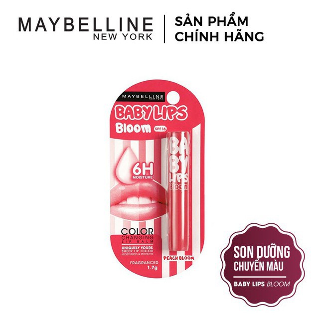 Son dưỡng môi Baby Lips Bloom Maybelline New York có chống nắng 1.7g SPF 16