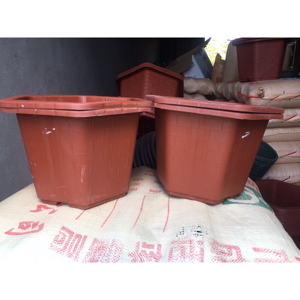 5 CHẬU NHỰA LỤC GIÁC MÃ #380 (DỊCH TRUYỀN CỨU CÂY, KÍCH RỄ MẦM CÂY, BẦU KHAY TÚI ƯƠM..)