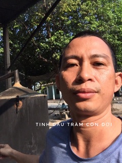 Tinh dầu tràm Con Dơi ( Chưng cất thủ công)