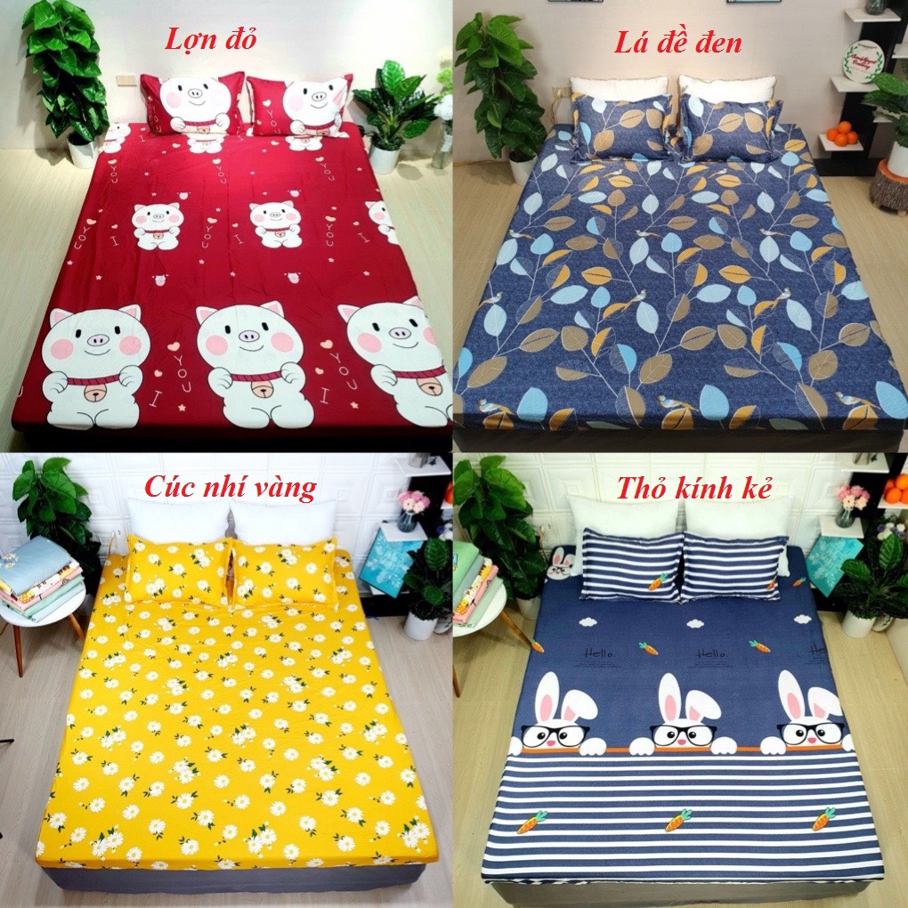 Bộ ga gối cotton poly mẫu mới ( được chọn mẫu)