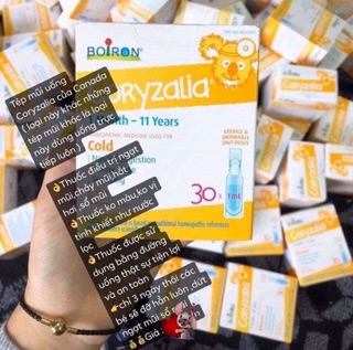Tép muối Coryzalia