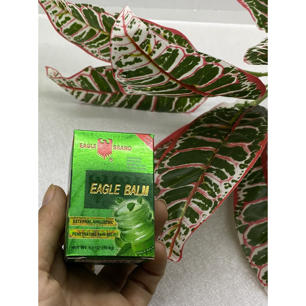 Dầu Cù Là xanh Con Ó Eagle Blam 20gr--Mỹ