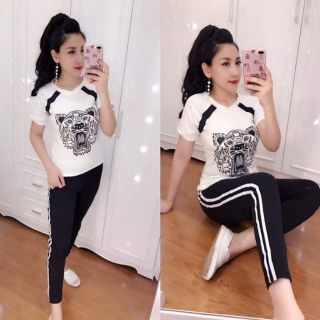 Combo ( bộ, áo , váy)