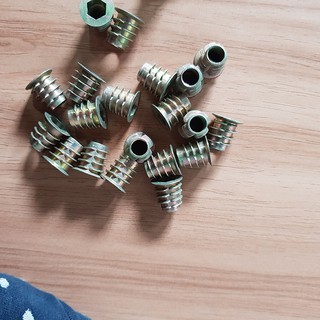 Túi ốc cấy gỗ phi 8 - 100 con