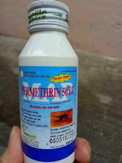 Thuốc phun muỗi bệnh viện