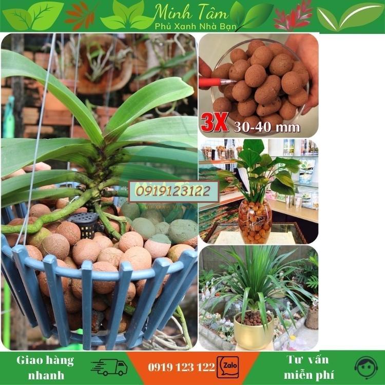 Viên Đất Sét Nung POPPER Thái Lan - Gói 1 Lít - Giá Thể Trồng Xương Rồng, Sen Đá, Hoa Lan, Sứ, Thủy Canh, Lọc Hồ Cá