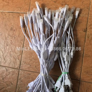 Nguồn led dây 220V 1 hàng 6 ly không nháy