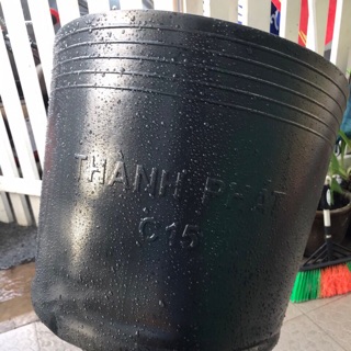 50 Chậu nhựa dẻo size C10 màu đen trồng cây