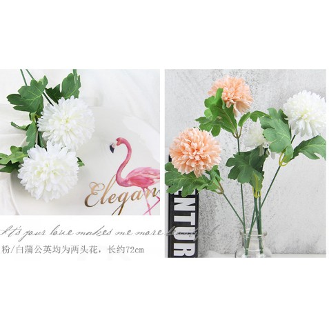 phụ kiện chụp ảnh sản phẩm - Hoa