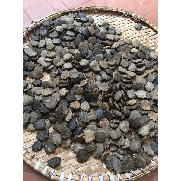 HẠT GẤC KHÔ loại 1
