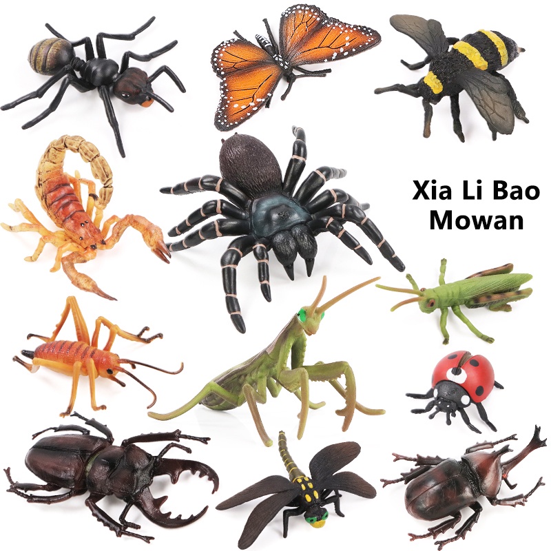 Đồ chơi mô hình côn trùng bò sát cho trẻ nhỏ