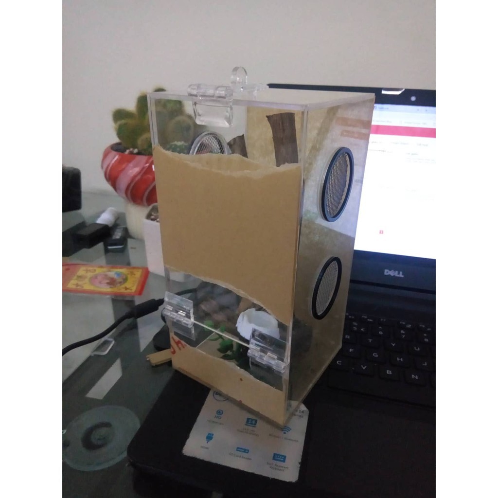 Hộp Nuôi Nhện 10-10-20 Dán (tank tarantula)