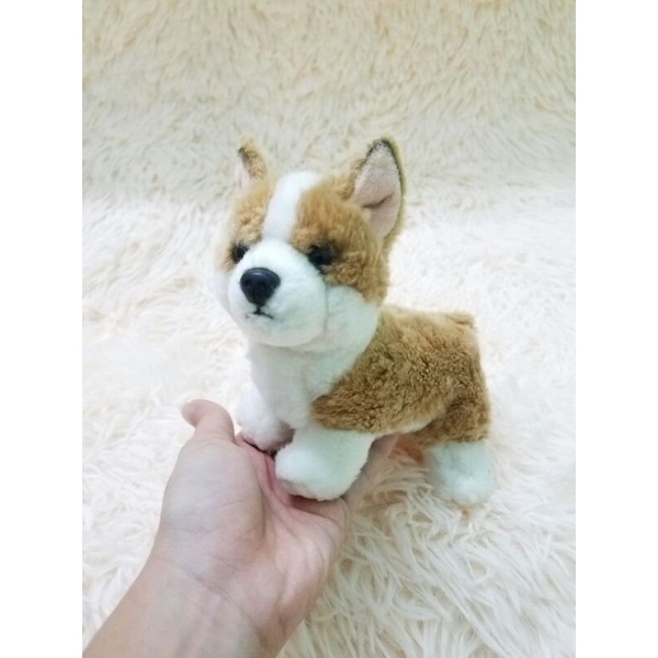 gấu bông con chó Corgi giống như thật chính hãng