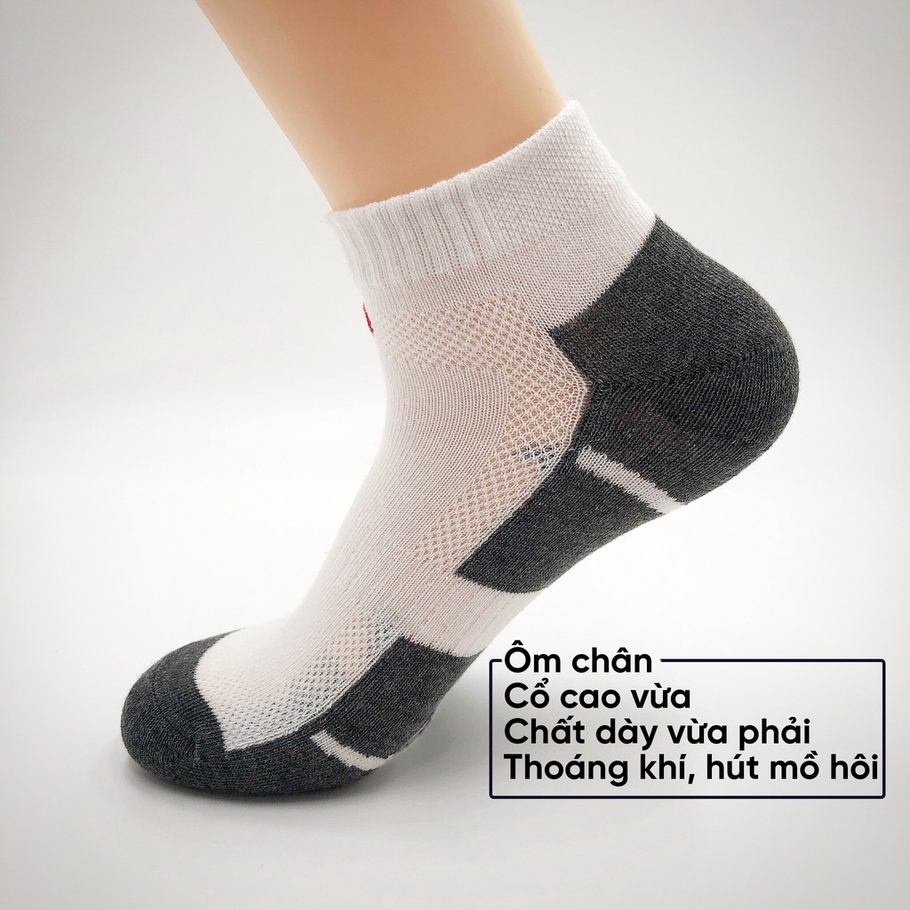 Tất vớ nam công sở, tất cổ ngắn nam chất vải dày co giãn bốn chiều - Sope Shop