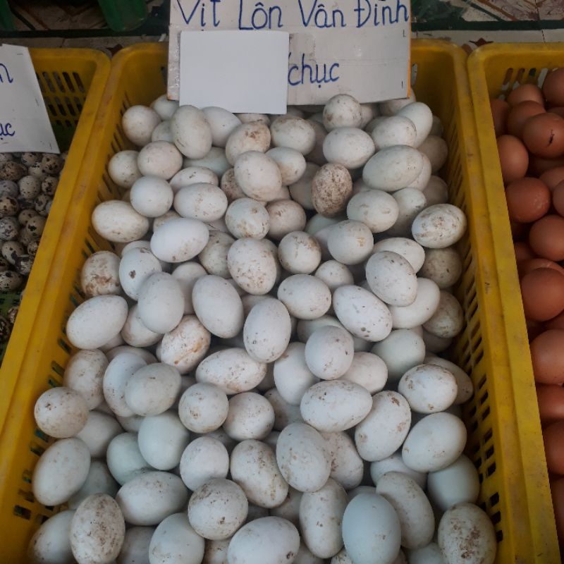 Trứng Vịt Lộn Vân Đình Khay 10 quảbao ngon