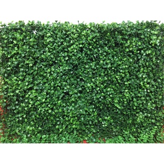 Combo 50 cỏ xoong nhân tạo trang trí sự kiện cửa hàng