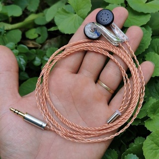 Tai nghe earbud PA32v2